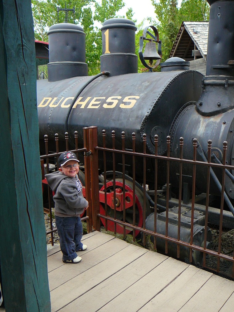 Dynamic Applications - freedom of choices, reflection, options, poverty and luxury, growth and contribution