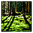 worldwide_growth_of_forest_logo_48x48