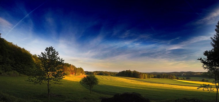 alexandra-dech-22454-unsplash-2