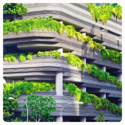 Small Business Developments - logo - 256x256