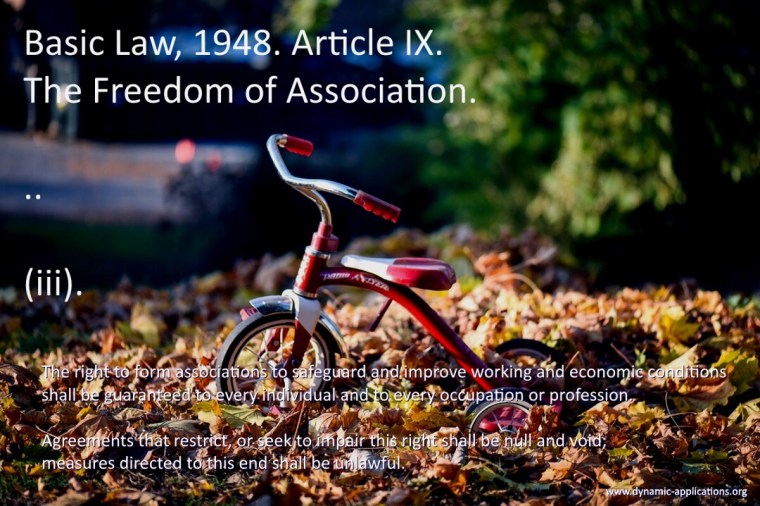 about the freedom of association