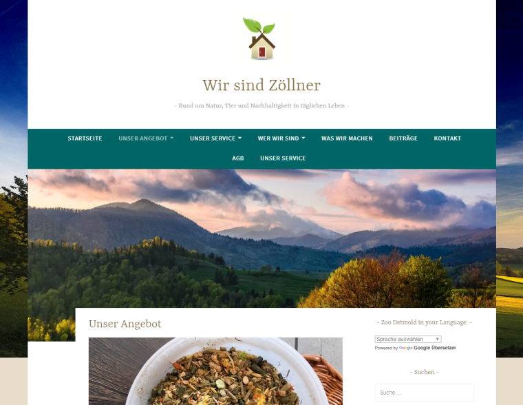Website - Zöllner Service - Unser Angebot