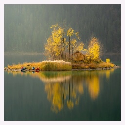 Nature Simulations - 256x256 logo